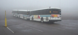 Buses in fog during Duluth's roadeo