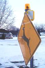 Deer crossing sign with beacon mounted on top