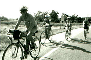 Bicyclists on shoulder of road