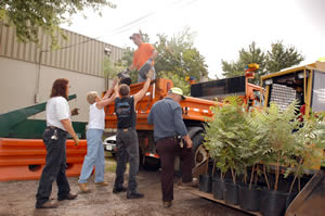5 people unloading plants from truck