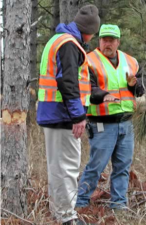 2 men standing next to damaged tree
