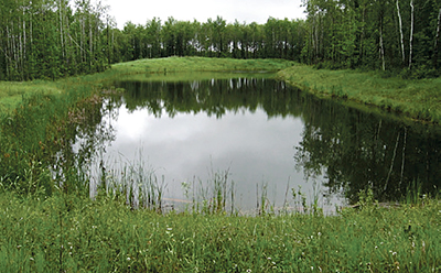 Photo of a pond in northern Minnesota.