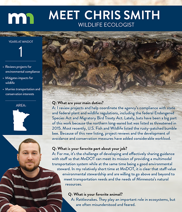 Chris Smith, Wildlife ecologist. 
One year at MnDOT. Reviews projects for environmental compliance. Mitigates impacts for wildlife. Marries transportation and conservation interests.

Q: What are your main duties? 
A: I review projects and help coordinate the agency’s compliance with state and federal plant and wildlife regulations, including the federal Endangered Species Act and Migratory Bird Treaty Act. Lately, bats have been a big part of this work because the northern long-eared bat was listed as threatened in 2015. Most recently, U.S. Fish and Wildlife listed the rusty-patched bumble bee. Because of this new listing, project reviews and the development of avoidance and conservation measures have added considerable workload. 

Q: What is your favorite part about your job?
A: For me, it’s the challenge of developing and effectively sharing guidance with staff so that MnDOT can meet its mission of providing a multimodal transportation system while at the same time being a good environmental steward. In my relatively short time at MnDOT, it is clear that staff value environmental stewardship and are willing to go above and beyond to meet transportation needs and the needs of Minnesota’s natural resources.  

Q: What is your favorite animal?
A: Rattlesnakes. They play an important role in ecosystems, but are often misunderstood and feared.

