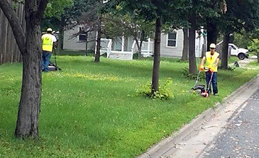 Photo of interns mowing grass.